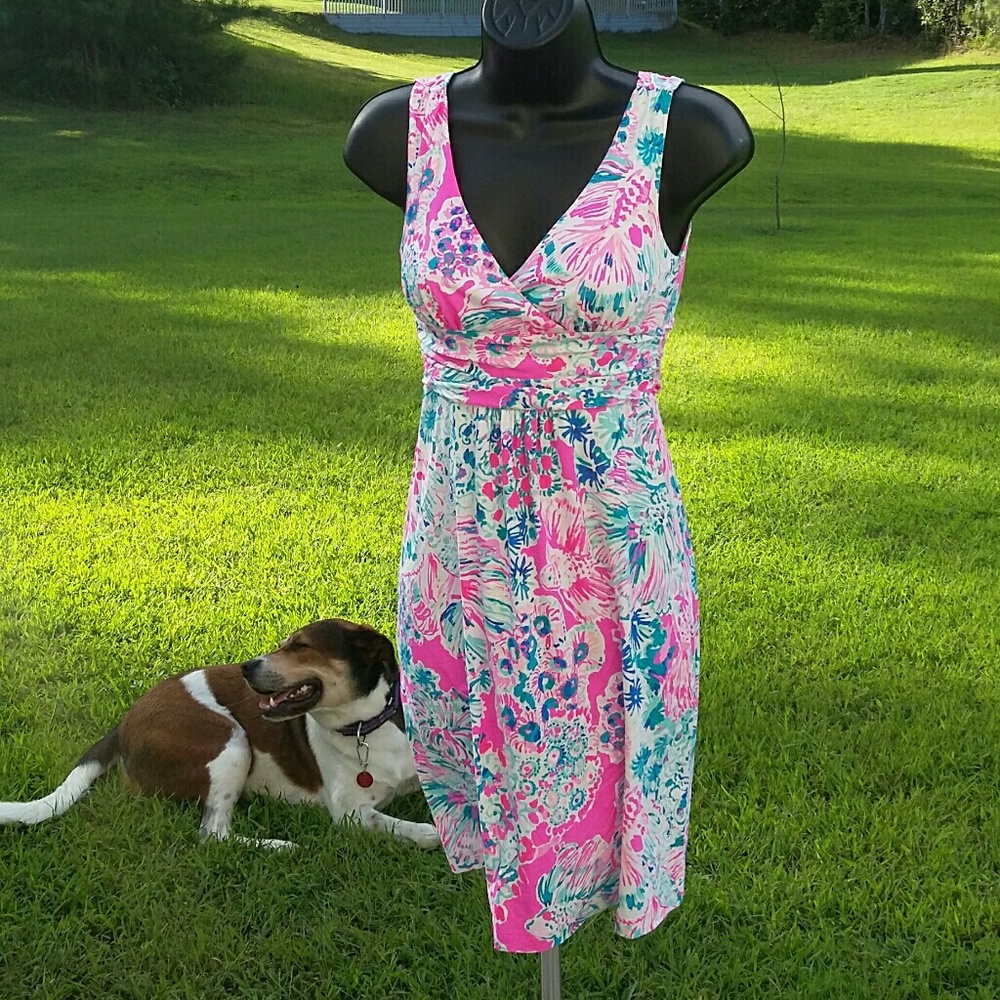 Lilly Pulitzer Signature Floral Palette Dress